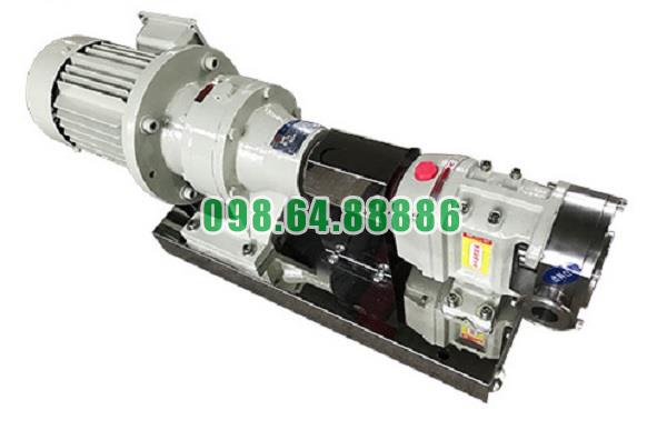 Máy bơm thùy 3RP-3 đường kính kết nối 25-32 mm